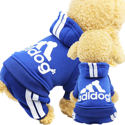 Blue 'adidog' pet outfit on a small dog with a white background