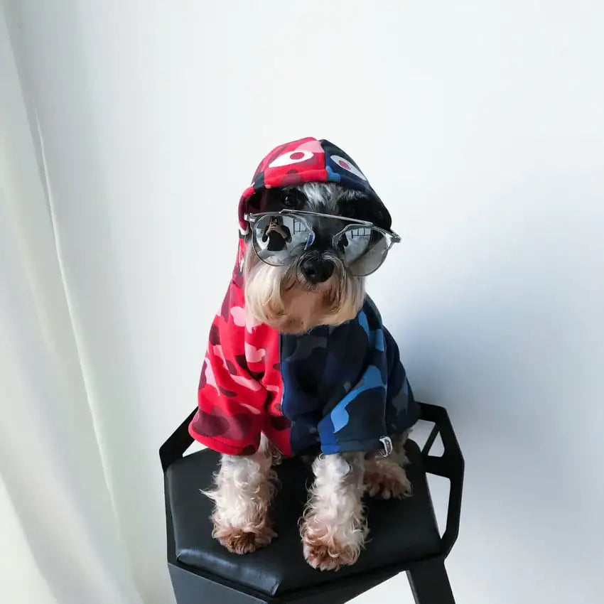 Dog wearing a colorful outfit with a hood and sunglasses on a chair against a white background