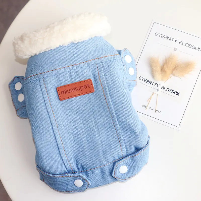 Blue denim-style pet diaper with a brand label on a white surface