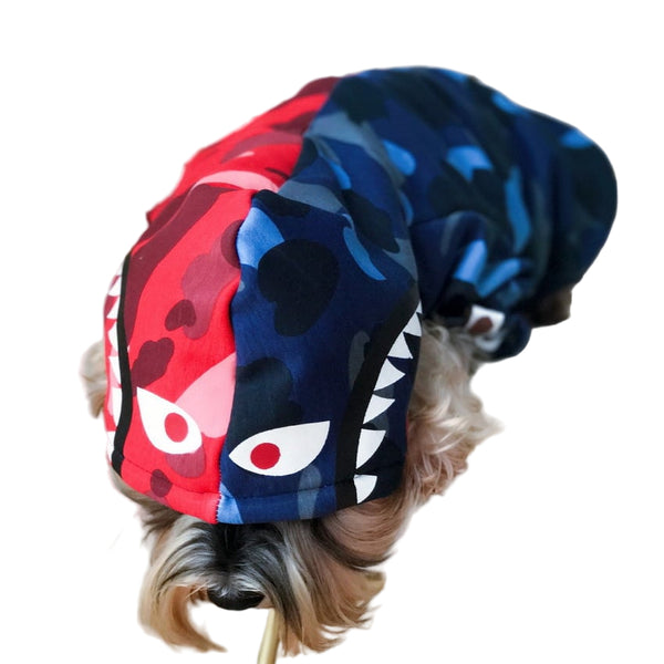 Dog wearing a colorful hoodie with a shark design on a white background
