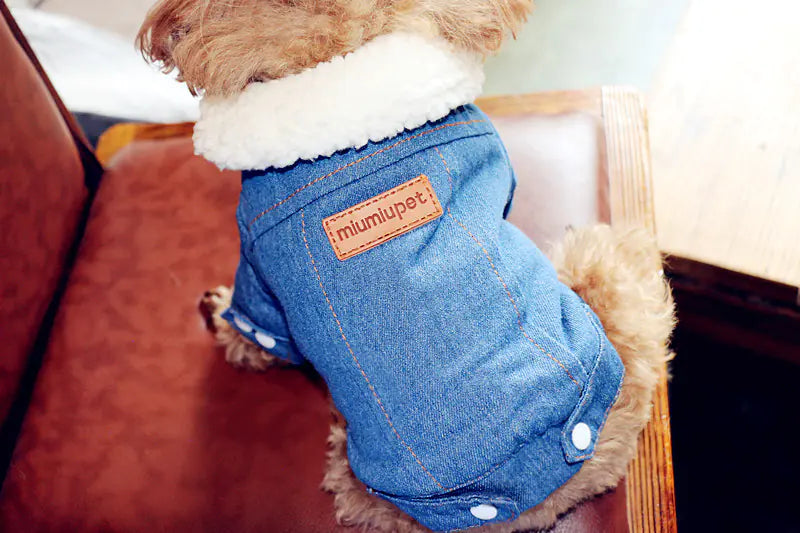 Dog wearing a denim outfit with a brand label on a red couch.