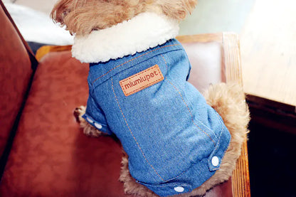 Dog wearing a denim outfit with a brand label on a red couch.