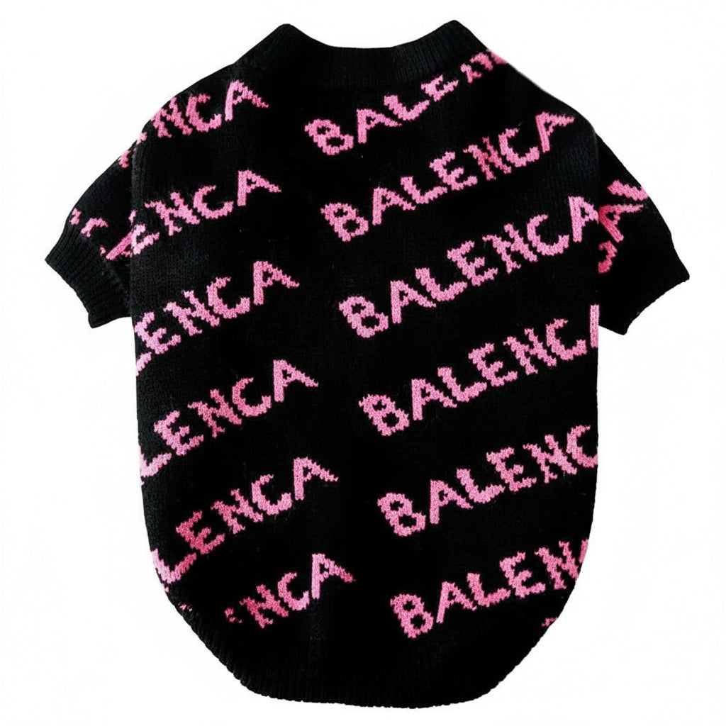 Black pet sweater with pink 'BALENCIAGA' text on a white background